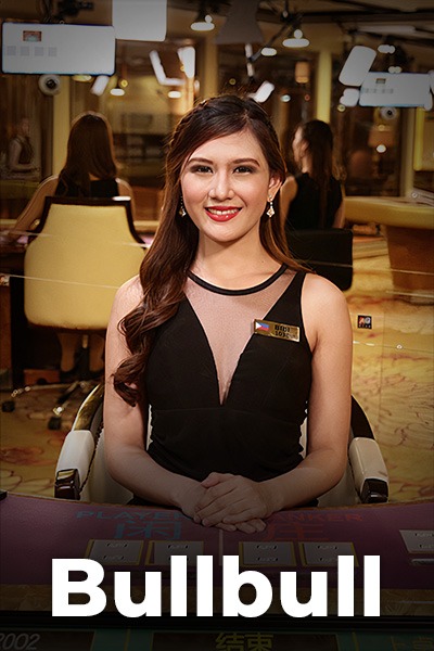 Bull Bull live dealer table cover